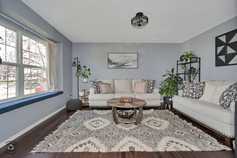 Tiny photo for 1066 N 129th Infantry Drive, Joliet, IL 60435 (MLS # 12612946)