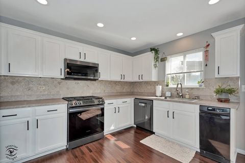 Tiny photo for 1066 N 129th Infantry Drive, Joliet, IL 60435 (MLS # 12612946)