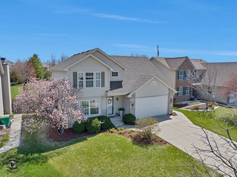 Tiny photo for 1066 N 129th Infantry Drive, Joliet, IL 60435 (MLS # 12612946)