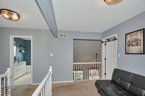 Tiny photo for 1066 N 129th Infantry Drive, Joliet, IL 60435 (MLS # 12612946)