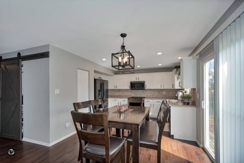 Tiny photo for 1066 N 129th Infantry Drive, Joliet, IL 60435 (MLS # 12612946)