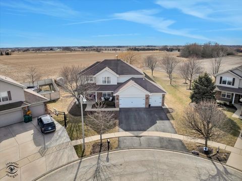 Photo of 24518 Shawnee Lane, Manhattan, IL 60442 (MLS # 12582202)