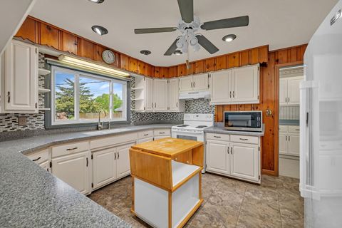 Tiny photo for 1010 Harmony Avenue, Mazon, IL 60444 (MLS # 12629430)