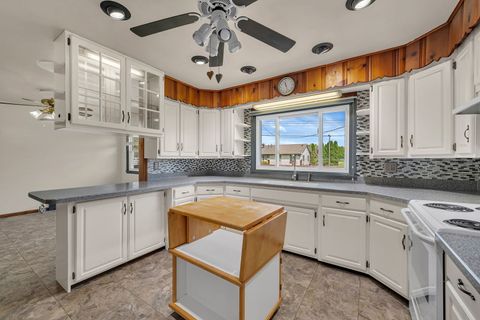 Tiny photo for 1010 Harmony Avenue, Mazon, IL 60444 (MLS # 12629430)