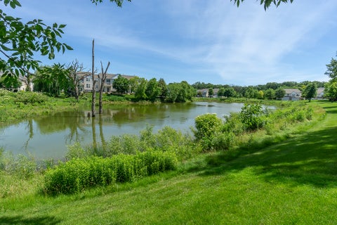 Tiny photo for 110 Terra Firma Lane, Volo, IL 60020 (MLS # 12681990)