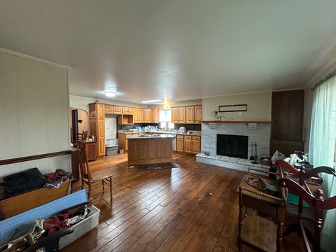 Tiny photo for 10015 Stichter Street, Fenton, IL 61251 (MLS # 12511876)