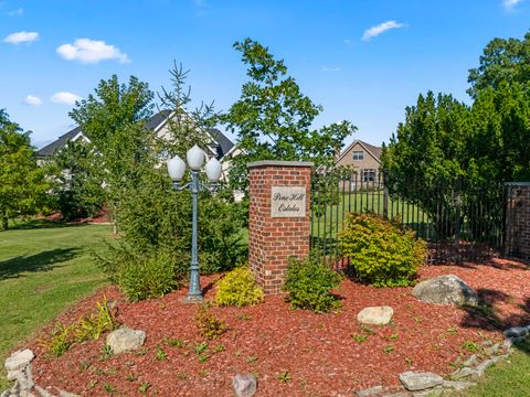 16604 Pine Hill Drive Homer Glen IL 60491