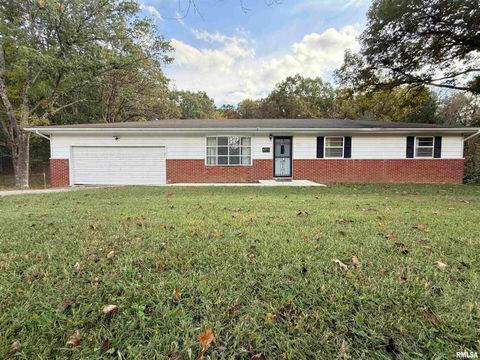 Photo of 8375 Highway 145 S, Harrisburg, IL 62946 (MLS # EB460176)