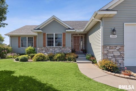 Tiny photo for 1301 W 62ND Court, Davenport, IA 52806 (MLS # QC4267017)