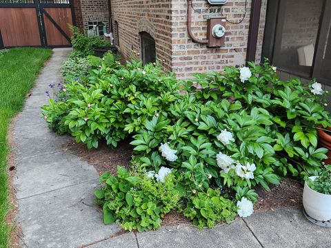 Tiny photo for 9031 Fairview Avenue, Brookfield, IL 60513 (MLS # 12575529)