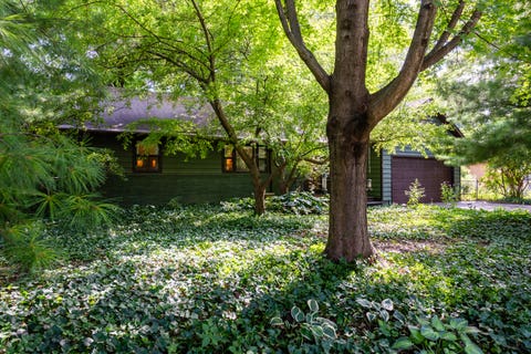 Tiny photo for 103 W Mumford Drive, Urbana, IL 61801 (MLS # 12711691)
