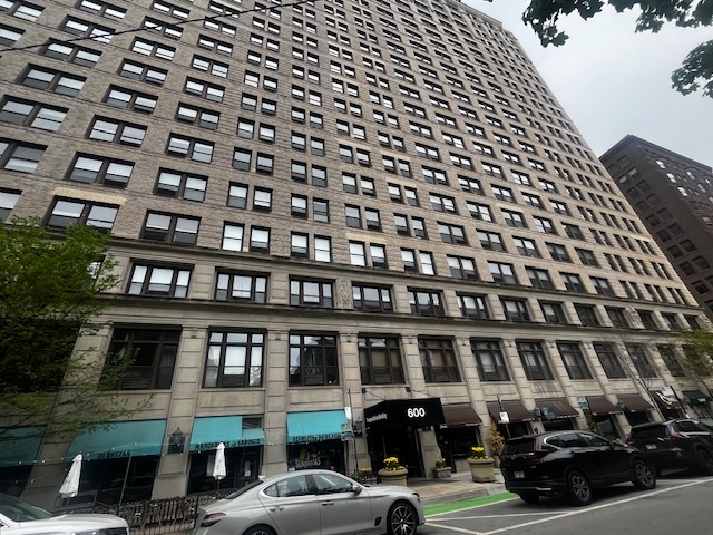 600 S Dearborn Street 308