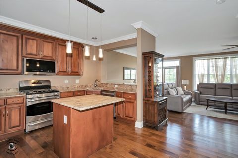 Tiny photo for 8638 SADDLEBRED Court, Frankfort, IL 60423 (MLS # 12657657)