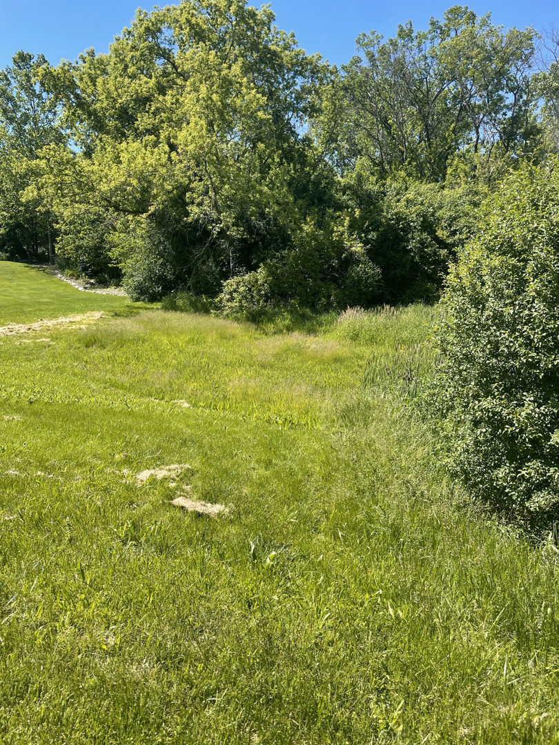 688 Spruce Drive