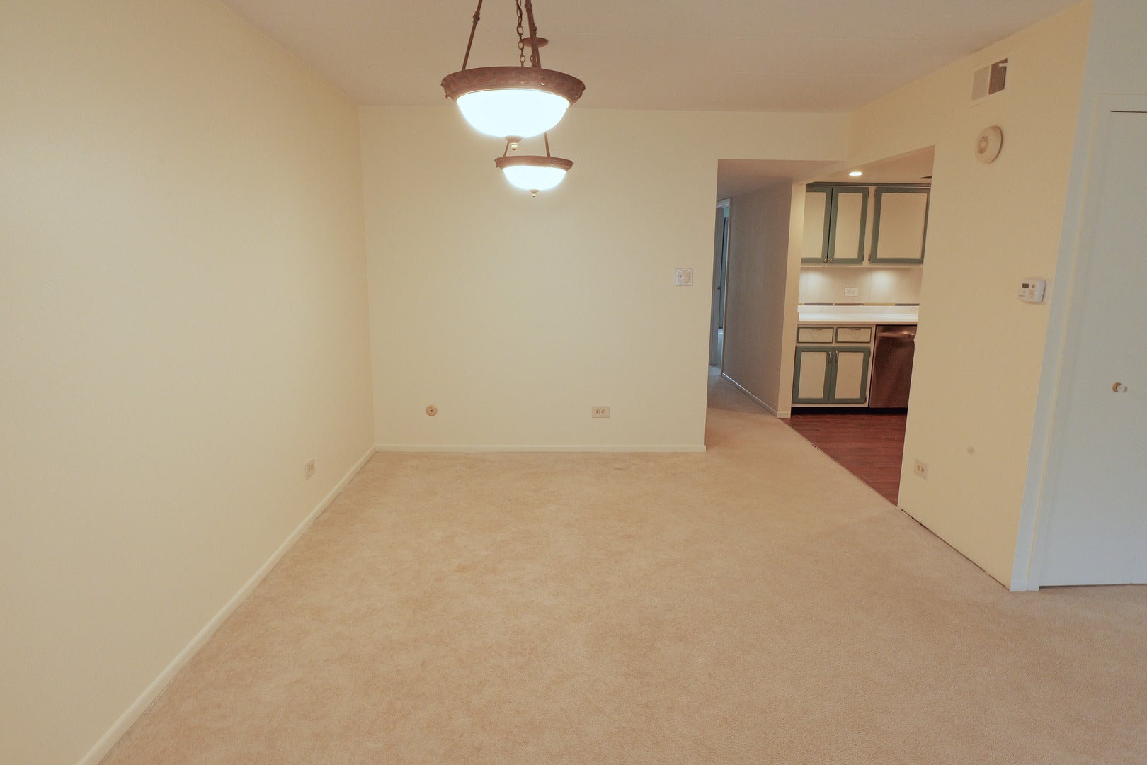 9605 S Komensky Avenue 101