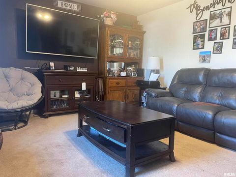 Tiny photo for 217 APPLE Lane, Anna, IL 62906 (MLS # EB456753)