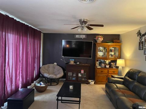 Tiny photo for 217 APPLE Lane, Anna, IL 62906 (MLS # EB456753)
