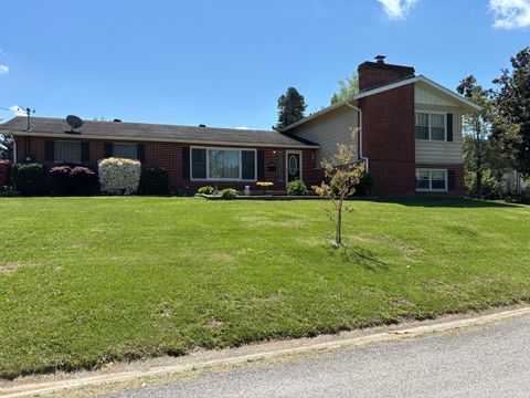 Tiny photo for 217 APPLE Lane, Anna, IL 62906 (MLS # EB456753)