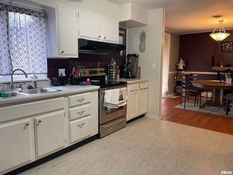 Tiny photo for 217 APPLE Lane, Anna, IL 62906 (MLS # EB456753)