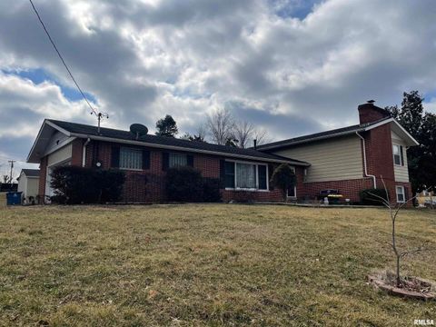 Tiny photo for 217 APPLE Lane, Anna, IL 62906 (MLS # EB456753)