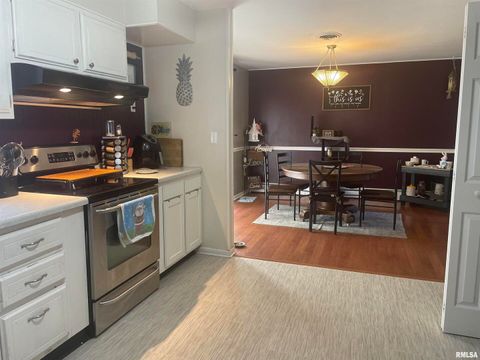 Tiny photo for 217 APPLE Lane, Anna, IL 62906 (MLS # EB456753)