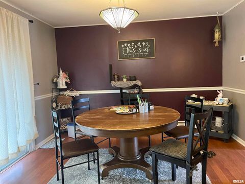 Tiny photo for 217 APPLE Lane, Anna, IL 62906 (MLS # EB456753)