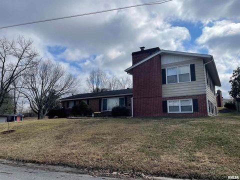 Photo of 217 APPLE Lane, Anna, IL 62906 (MLS # EB456753)