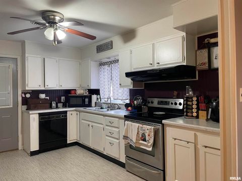 Tiny photo for 217 APPLE Lane, Anna, IL 62906 (MLS # EB456753)