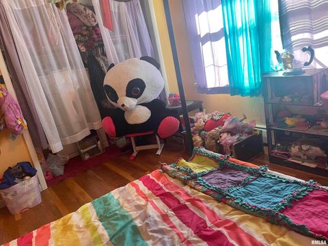 Tiny photo for 217 APPLE Lane, Anna, IL 62906 (MLS # EB456753)