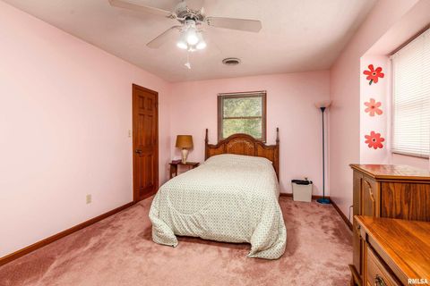 Tiny photo for 11688 STRAWBERRY Road, Carbondale, IL 62901 (MLS # EB460316)