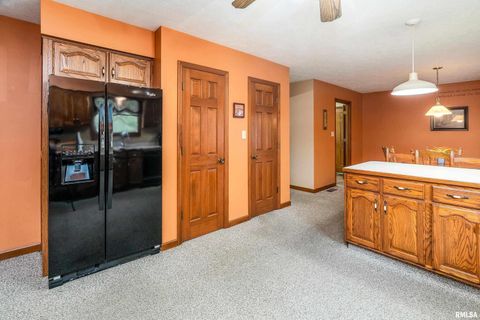 Tiny photo for 11688 STRAWBERRY Road, Carbondale, IL 62901 (MLS # EB460316)