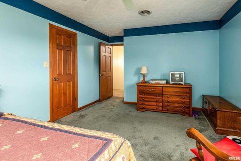 Tiny photo for 11688 STRAWBERRY Road, Carbondale, IL 62901 (MLS # EB460316)