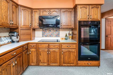 Tiny photo for 11688 STRAWBERRY Road, Carbondale, IL 62901 (MLS # EB460316)