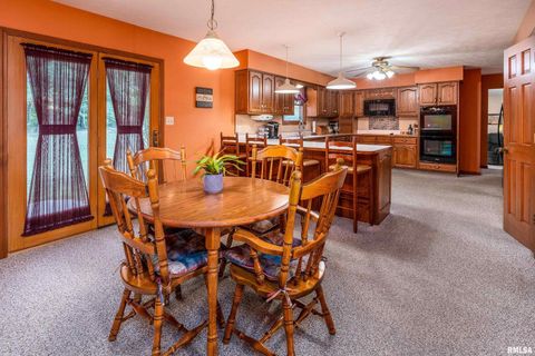 Tiny photo for 11688 STRAWBERRY Road, Carbondale, IL 62901 (MLS # EB460316)