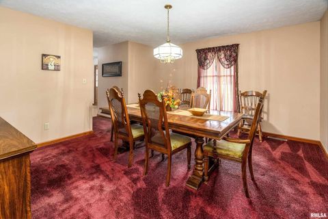 Tiny photo for 11688 STRAWBERRY Road, Carbondale, IL 62901 (MLS # EB460316)