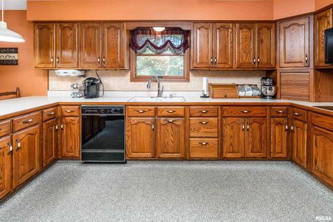 Tiny photo for 11688 STRAWBERRY Road, Carbondale, IL 62901 (MLS # EB460316)