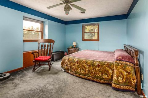 Tiny photo for 11688 STRAWBERRY Road, Carbondale, IL 62901 (MLS # EB460316)