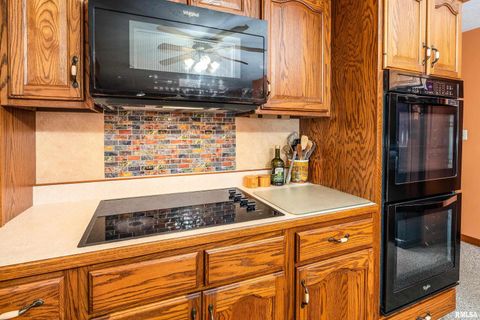 Tiny photo for 11688 STRAWBERRY Road, Carbondale, IL 62901 (MLS # EB460316)