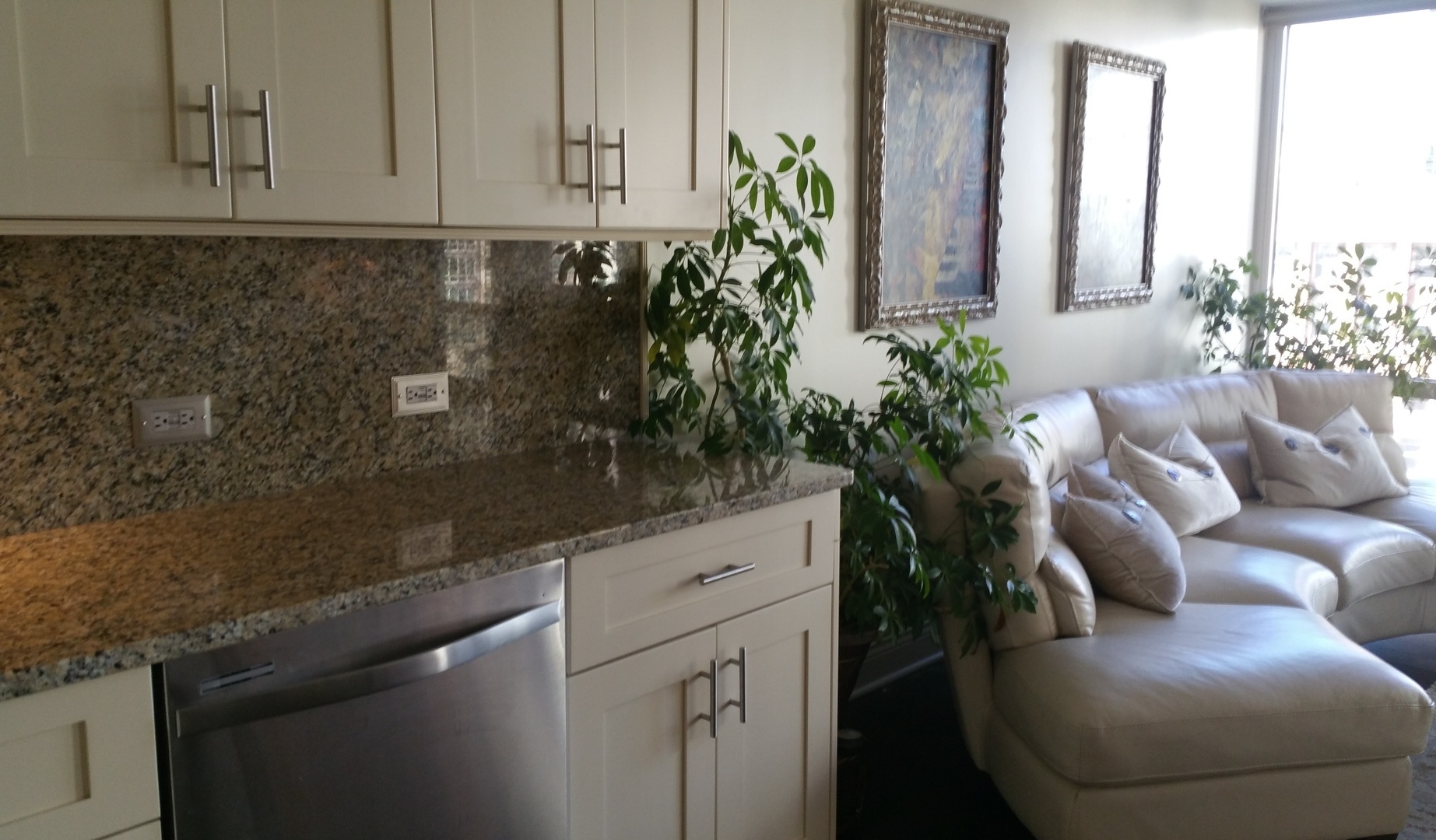 111 E Chestnut Street 17E