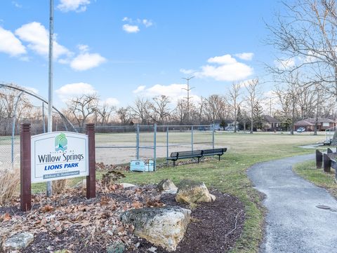 Tiny photo for 102 Park Street, Willow Springs, IL 60480 (MLS # 12589979)
