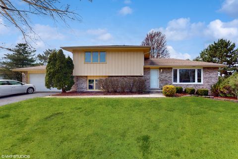 14320 S Elizabeth Lane Homer Glen IL 60491