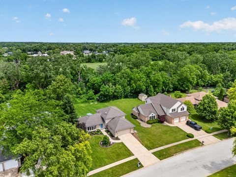 Tiny photo for 717 Naoma Drive, Crete, IL 60417 (MLS # 12678043)