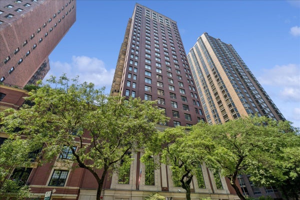 1122 N DEARBORN ST APT 7E, CHICAGO, IL 60610 - Image e36f86ddf445aded72d100b54bedfa0e/642651816