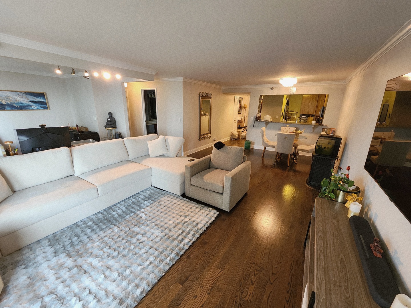 195 N Harbor Drive 1006