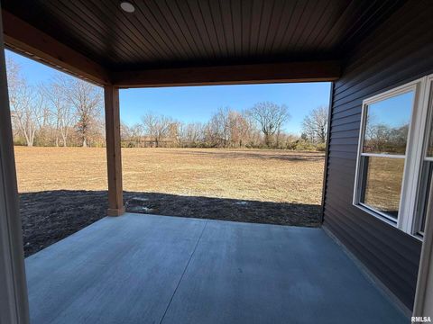 Tiny photo for 333 S Hanseman Street, Carbondale, IL 62901 (MLS # EB460735)