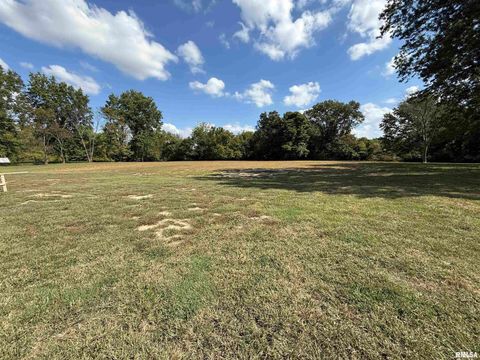 Tiny photo for 333 S Hanseman Street, Carbondale, IL 62901 (MLS # EB460735)