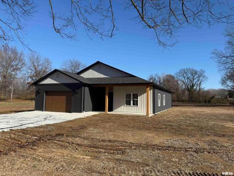 Photo of 333 S Hanseman Street, Carbondale, IL 62901 (MLS # EB460735)