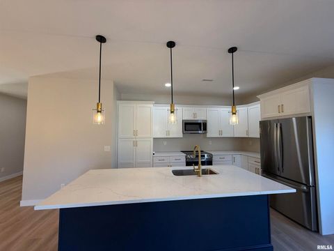 Tiny photo for 333 S Hanseman Street, Carbondale, IL 62901 (MLS # EB460735)