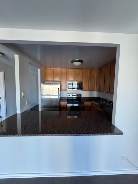 30 E HURON Street 2705