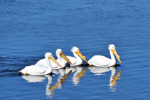 Tiny photo for 4713 E Lake Shore Drive, Wonder Lake, IL 60097 (MLS # 12589272)